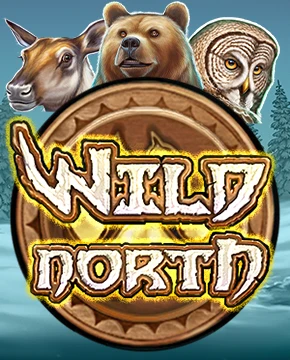 Rakoo Casino: inloggen en aanmelden – Toegang tot je account